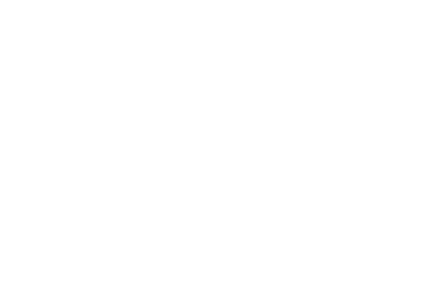 Idden logo white
